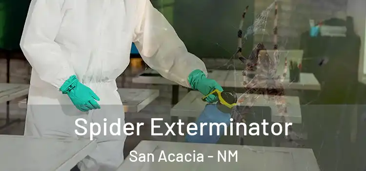  Spider Exterminator San Acacia - NM