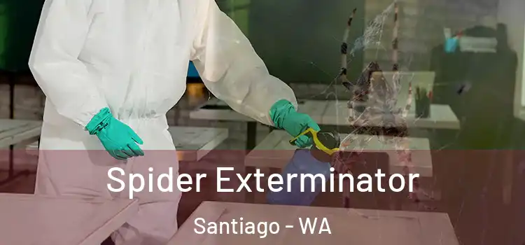  Spider Exterminator Santiago - WA