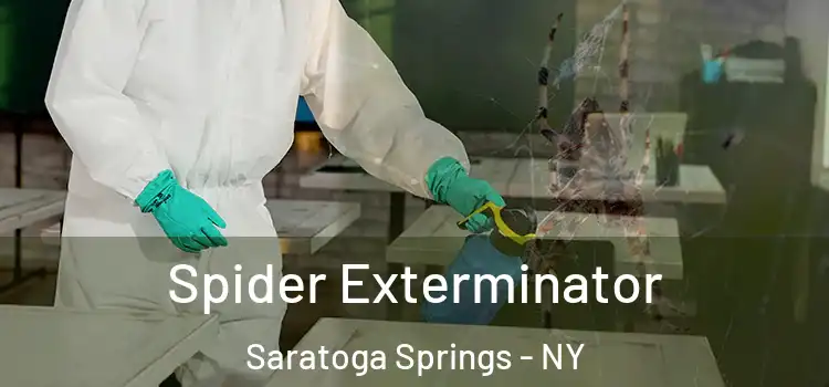  Spider Exterminator Saratoga Springs - NY