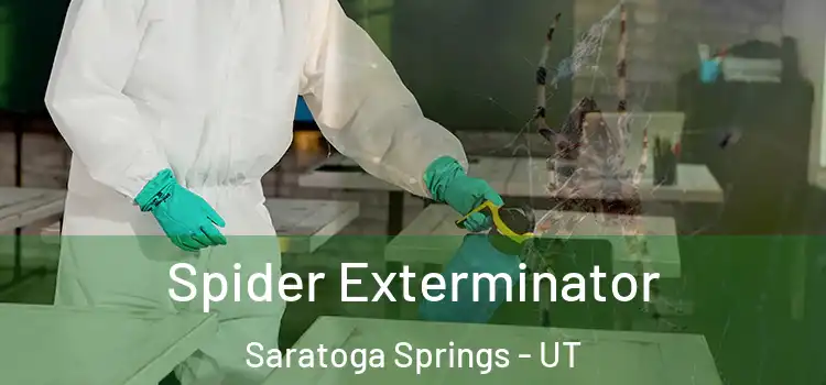  Spider Exterminator Saratoga Springs - UT