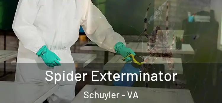 Spider Exterminator Schuyler - VA