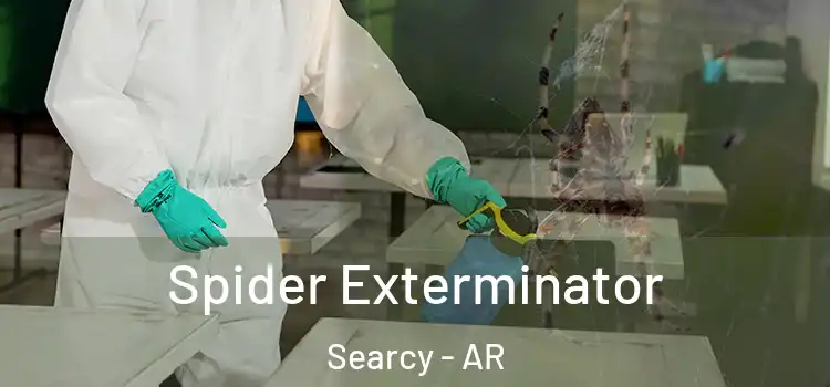  Spider Exterminator Searcy - AR