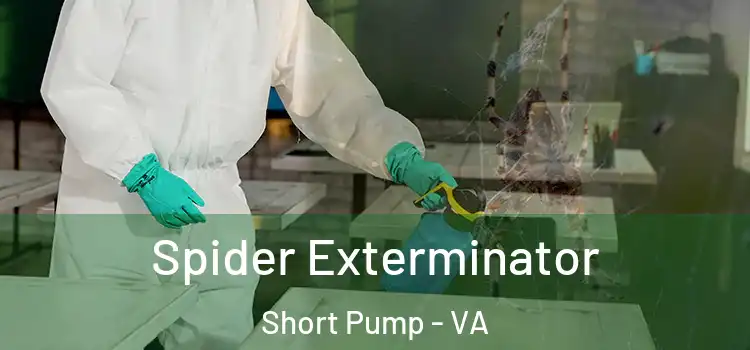 Spider Exterminator Short Pump - VA