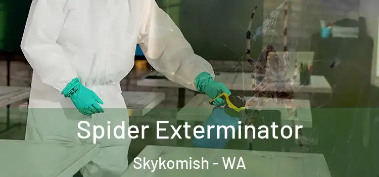  Spider Exterminator Skykomish - WA