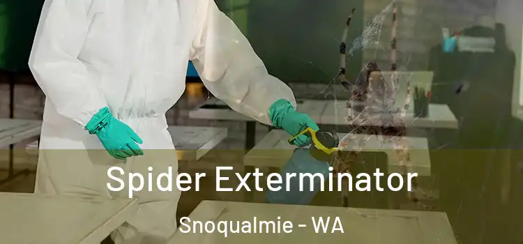  Spider Exterminator Snoqualmie - WA