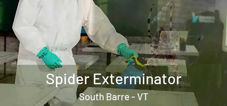  Spider Exterminator South Barre - VT
