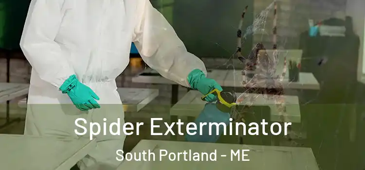  Spider Exterminator South Portland - ME