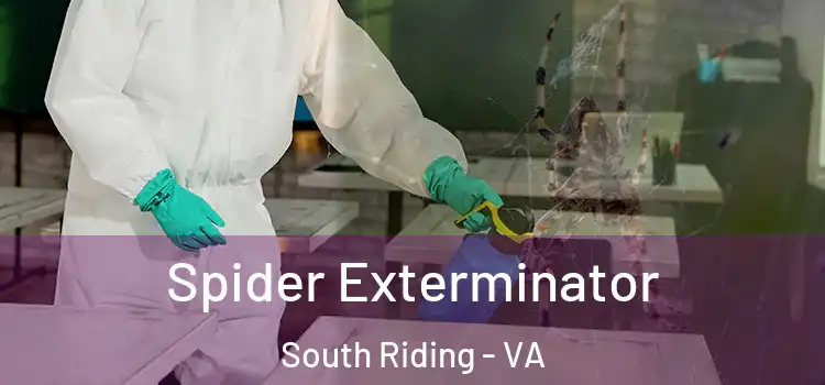 Spider Exterminator South Riding - VA
