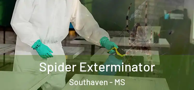  Spider Exterminator Southaven - MS