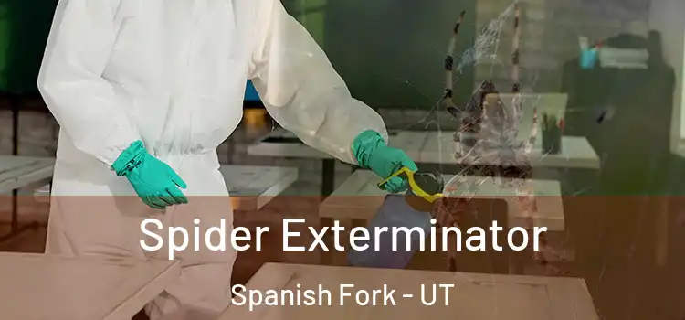  Spider Exterminator Spanish Fork - UT