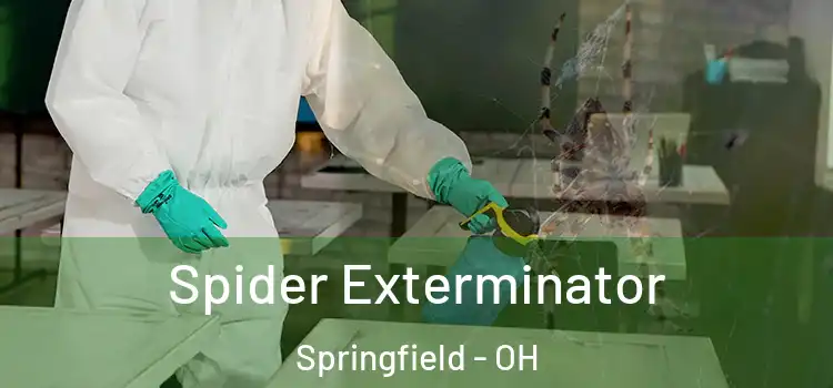  Spider Exterminator Springfield - OH