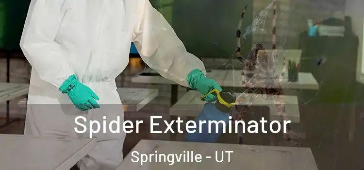  Spider Exterminator Springville - UT