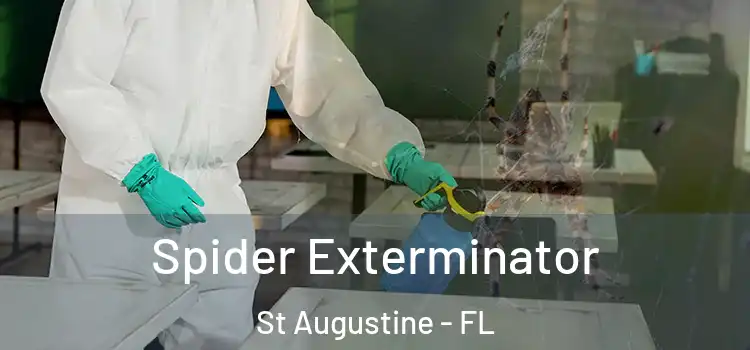 Spider Exterminator St Augustine - FL