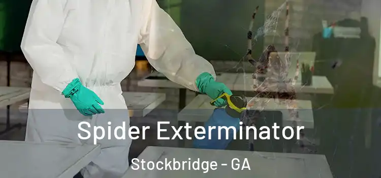  Spider Exterminator Stockbridge - GA