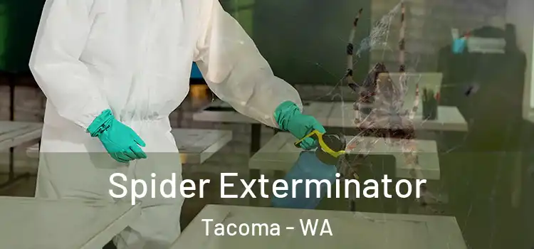  Spider Exterminator Tacoma - WA
