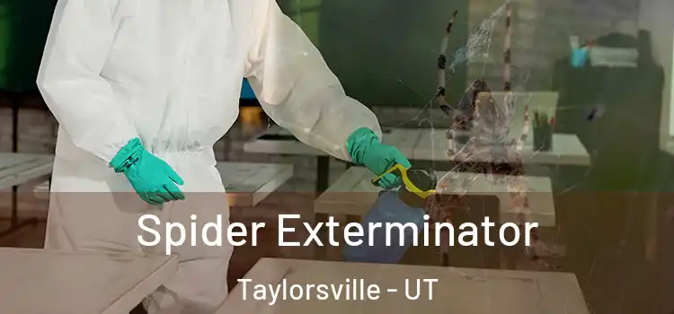  Spider Exterminator Taylorsville - UT