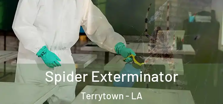  Spider Exterminator Terrytown - LA