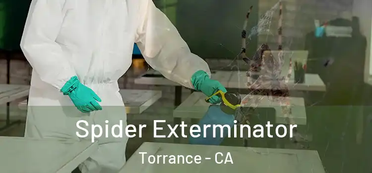  Spider Exterminator Torrance - CA