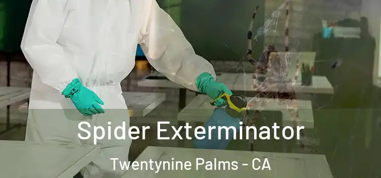  Spider Exterminator Twentynine Palms - CA