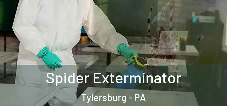  Spider Exterminator Tylersburg - PA