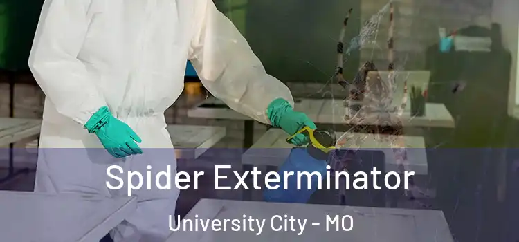  Spider Exterminator University City - MO