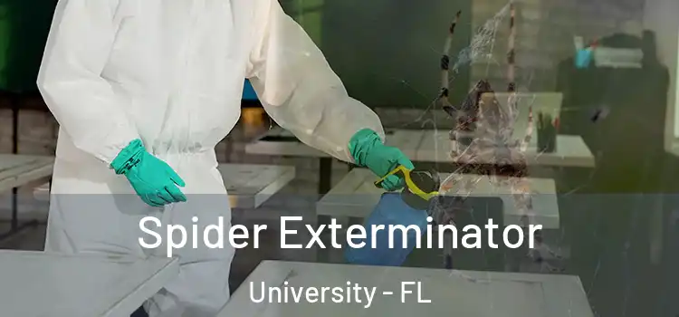 Spider Exterminator University - FL