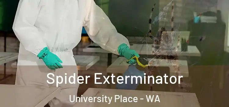  Spider Exterminator University Place - WA