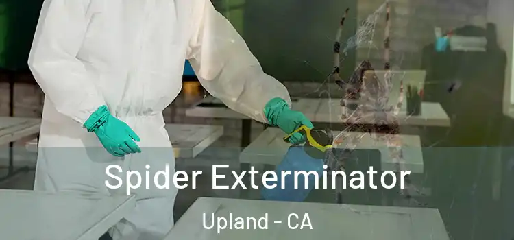  Spider Exterminator Upland - CA