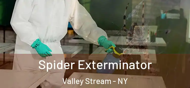  Spider Exterminator Valley Stream - NY