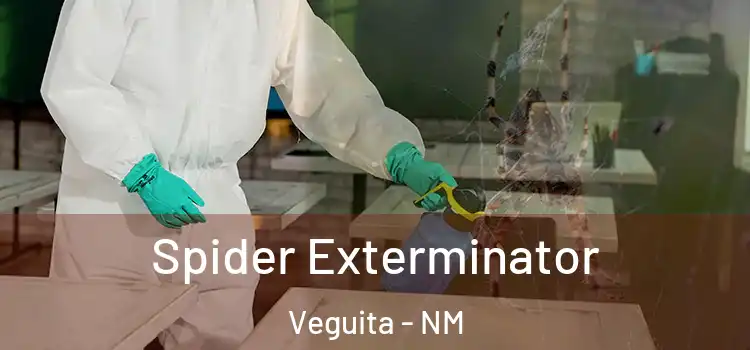  Spider Exterminator Veguita - NM