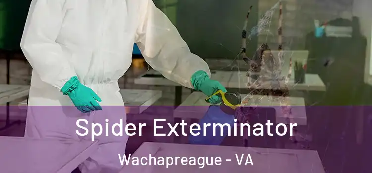  Spider Exterminator Wachapreague - VA