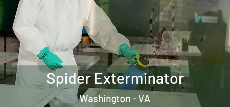 Spider Exterminator Washington - VA