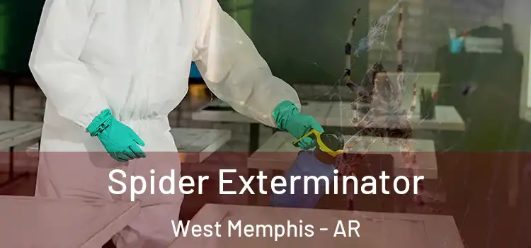  Spider Exterminator West Memphis - AR