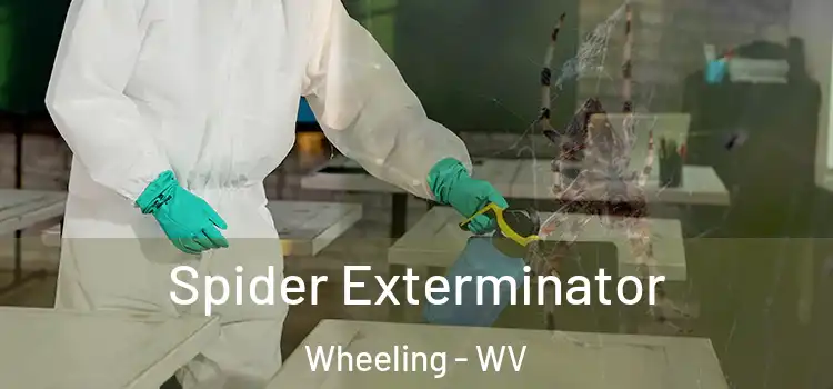  Spider Exterminator Wheeling - WV