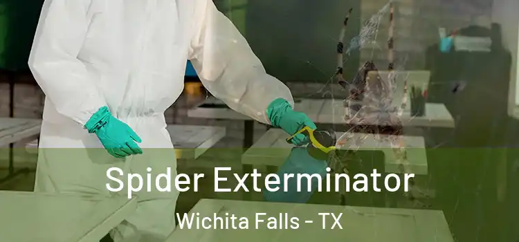 Spider Exterminator Wichita Falls - TX