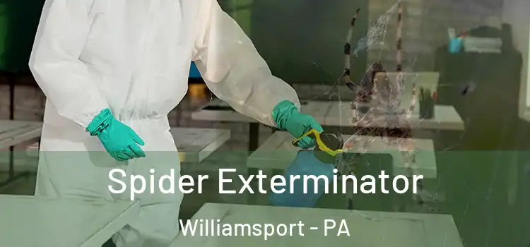  Spider Exterminator Williamsport - PA