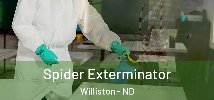  Spider Exterminator Williston - ND
