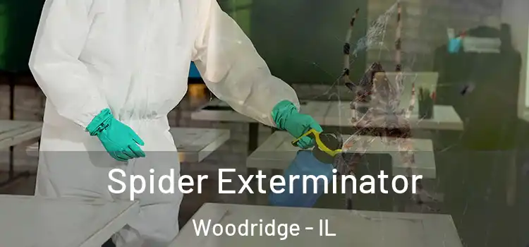  Spider Exterminator Woodridge - IL