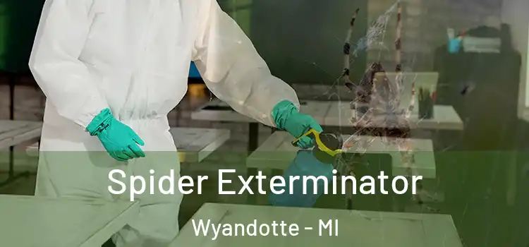  Spider Exterminator Wyandotte - MI