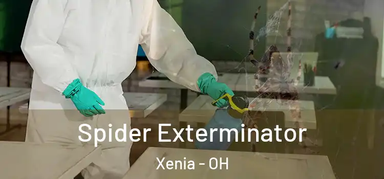  Spider Exterminator Xenia - OH