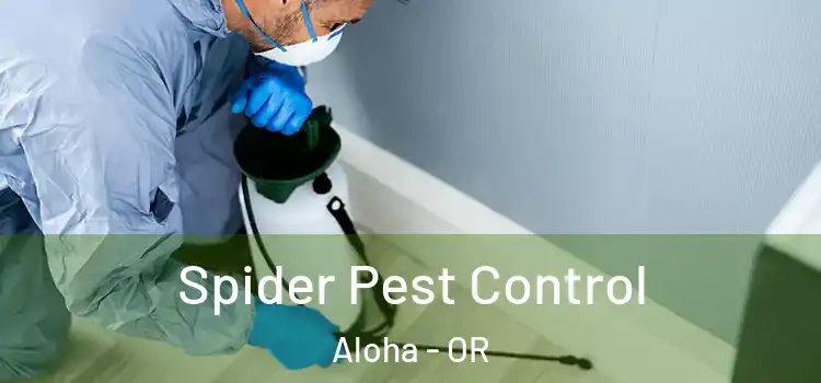  Spider Pest Control Aloha - OR