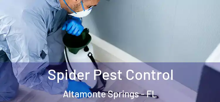 Spider Pest Control Altamonte Springs - FL