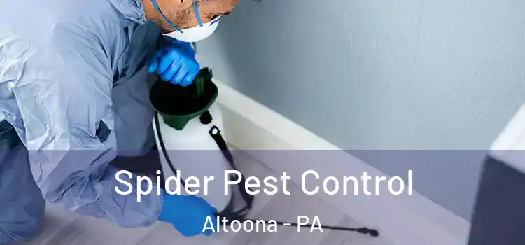  Spider Pest Control Altoona - PA