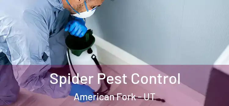  Spider Pest Control American Fork - UT