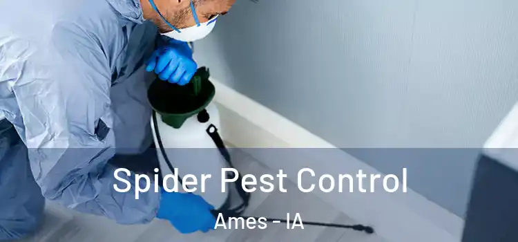 Spider Pest Control Ames - IA