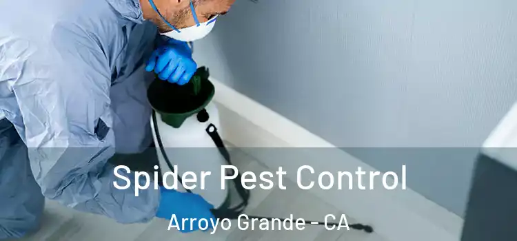 Spider Pest Control Arroyo Grande - CA