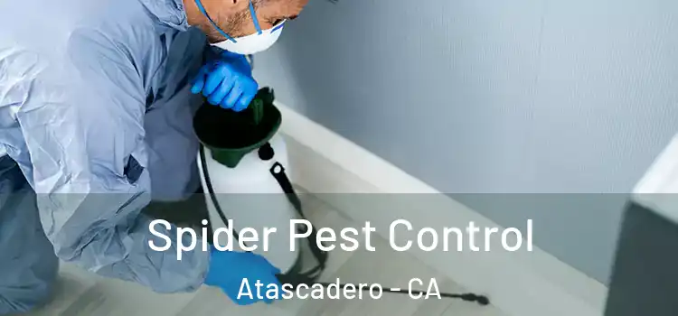  Spider Pest Control Atascadero - CA