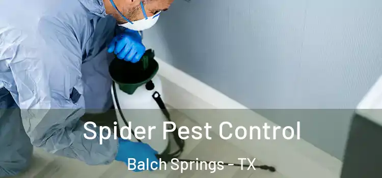  Spider Pest Control Balch Springs - TX