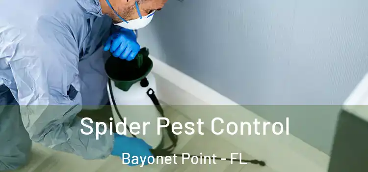 Spider Pest Control Bayonet Point - FL
