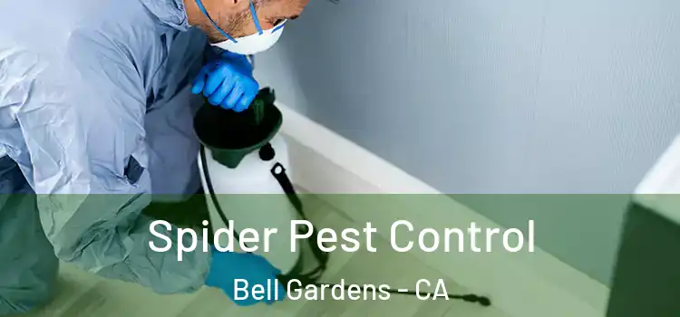  Spider Pest Control Bell Gardens - CA